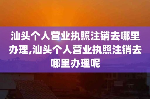 汕头个人营业执照注销去哪里办理,汕头个人营业执照注销去哪里办理呢