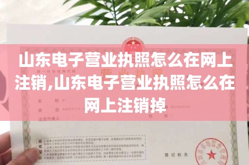 山东电子营业执照怎么在网上注销,山东电子营业执照怎么在网上注销掉