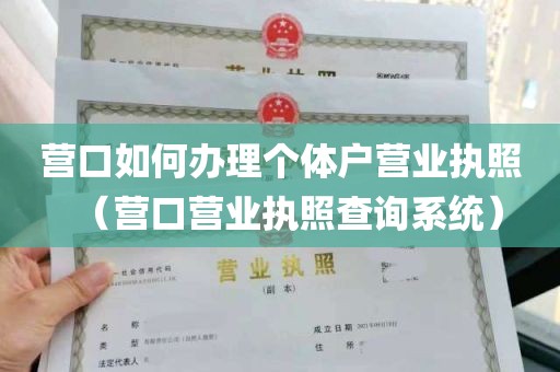 营口如何办理个体户营业执照（营口营业执照查询系统）