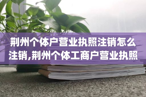 荆州个体户营业执照注销怎么注销,荆州个体工商户营业执照