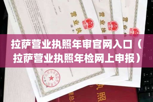 拉萨营业执照年审官网入口（拉萨营业执照年检网上申报）