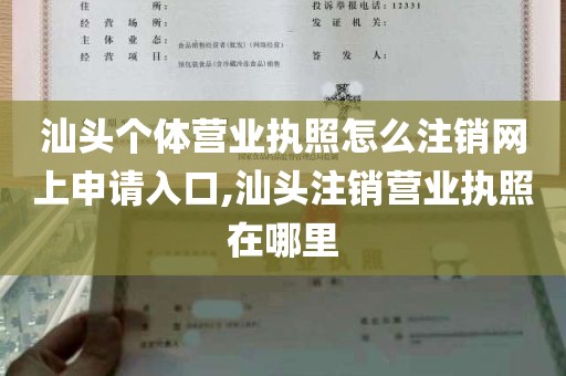 汕头个体营业执照怎么注销网上申请入口,汕头注销营业执照在哪里