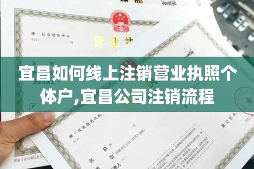 宜昌如何线上注销营业执照个体户,宜昌公司注销流程