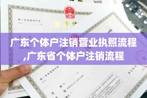 广东个体户注销营业执照流程,广东省个体户注销流程