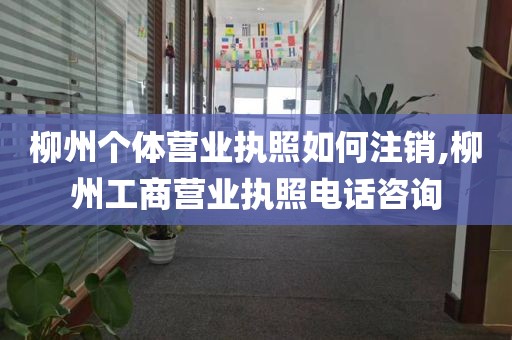 柳州个体营业执照如何注销,柳州工商营业执照电话咨询
