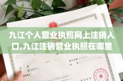 九江个人营业执照网上注销入口,九江注销营业执照在哪里