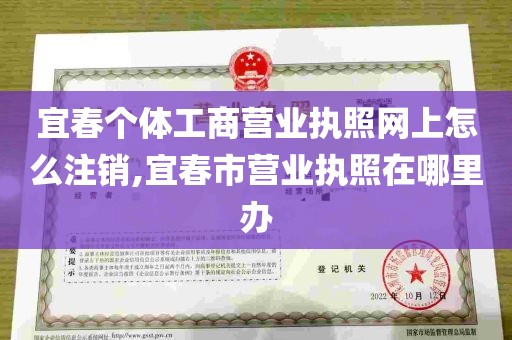 宜春个体工商营业执照网上怎么注销,宜春市营业执照在哪里办