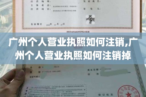 广州个人营业执照如何注销,广州个人营业执照如何注销掉