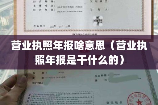 营业执照年报啥意思（营业执照年报是干什么的）