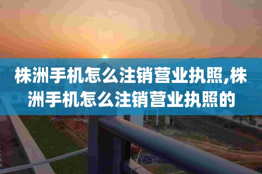 株洲手机怎么注销营业执照,株洲手机怎么注销营业执照的