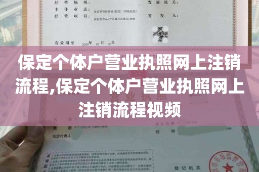 保定个体户营业执照网上注销流程,保定个体户营业执照网上注销流程视频