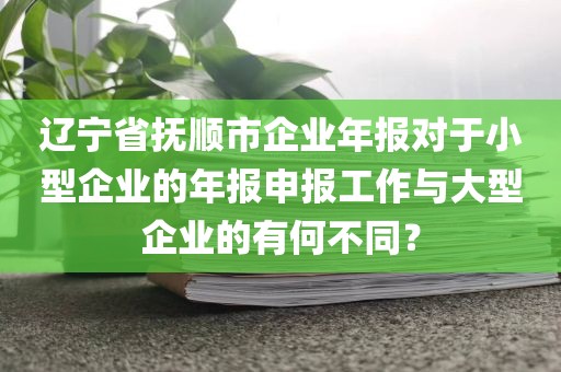 辽宁省抚顺市企业年报对于小型企业的年报申报工作与大型企业的有何不同？