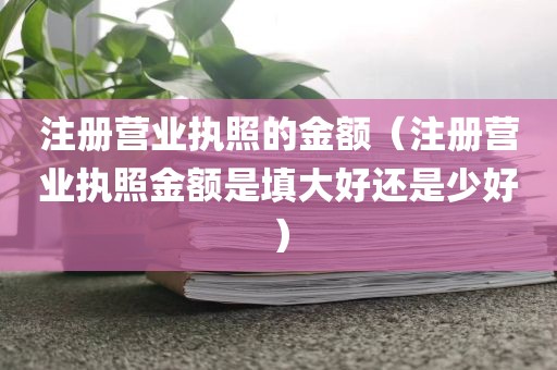 注册营业执照的金额（注册营业执照金额是填大好还是少好）