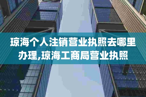 琼海个人注销营业执照去哪里办理,琼海工商局营业执照