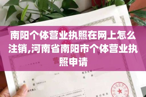 南阳个体营业执照在网上怎么注销,河南省南阳市个体营业执照申请