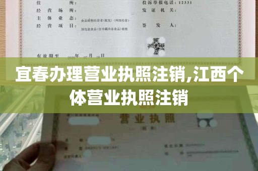 宜春办理营业执照注销,江西个体营业执照注销