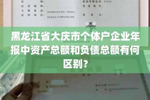 黑龙江省大庆市个体户企业年报中资产总额和负债总额有何区别？