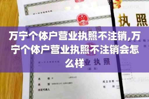 万宁个体户营业执照不注销,万宁个体户营业执照不注销会怎么样