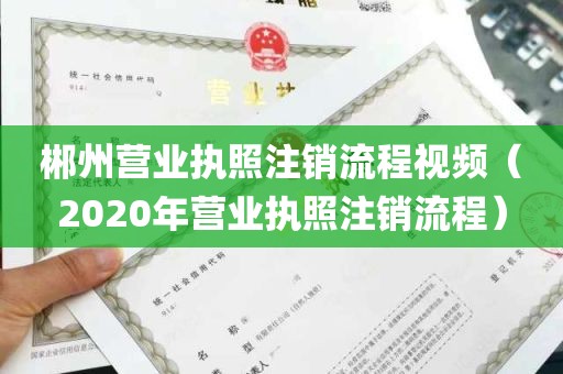 郴州营业执照注销流程视频（2020年营业执照注销流程）