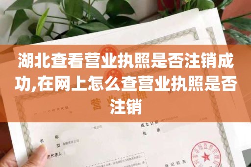 湖北查看营业执照是否注销成功,在网上怎么查营业执照是否注销