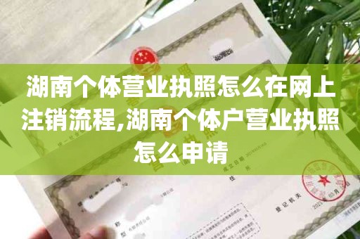 湖南个体营业执照怎么在网上注销流程,湖南个体户营业执照怎么申请