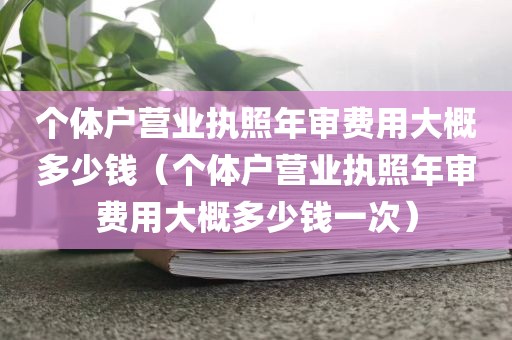 个体户营业执照年审费用大概多少钱（个体户营业执照年审费用大概多少钱一次）