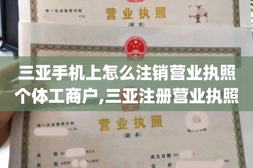 三亚手机上怎么注销营业执照个体工商户,三亚注册营业执照