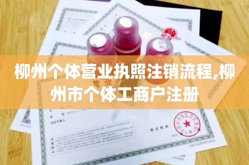 柳州个体营业执照注销流程,柳州市个体工商户注册