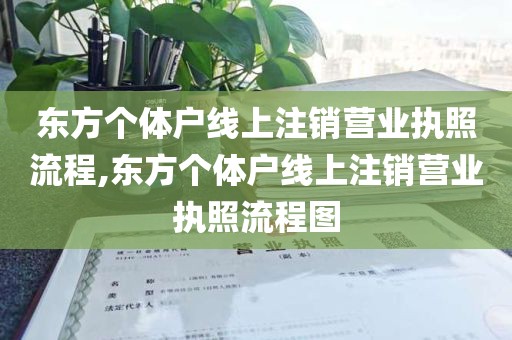 东方个体户线上注销营业执照流程,东方个体户线上注销营业执照流程图