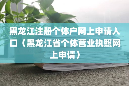 黑龙江注册个体户网上申请入口（黑龙江省个体营业执照网上申请）