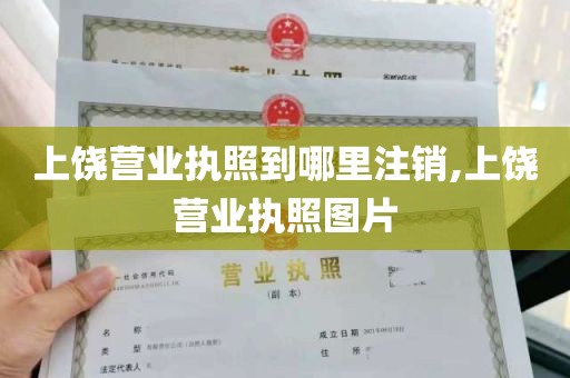 上饶营业执照到哪里注销,上饶营业执照图片