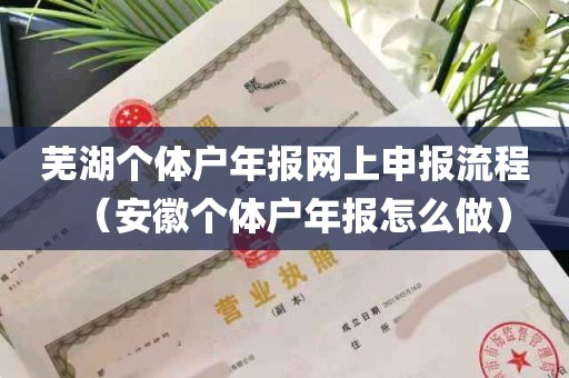 芜湖个体户年报网上申报流程（安徽个体户年报怎么做）