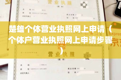 楚雄个体营业执照网上申请（个体户营业执照网上申请步骤）