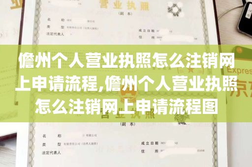 儋州个人营业执照怎么注销网上申请流程,儋州个人营业执照怎么注销网上申请流程图