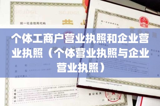 个体工商户营业执照和企业营业执照（个体营业执照与企业营业执照）