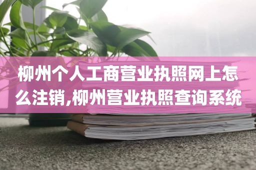 柳州个人工商营业执照网上怎么注销,柳州营业执照查询系统