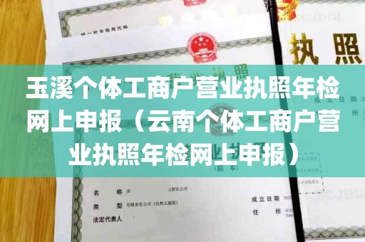 玉溪个体工商户营业执照年检网上申报（云南个体工商户营业执照年检网上申报）