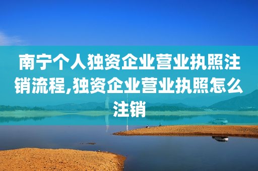 南宁个人独资企业营业执照注销流程,独资企业营业执照怎么注销