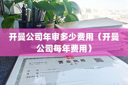 开曼公司年审多少费用（开曼公司每年费用）