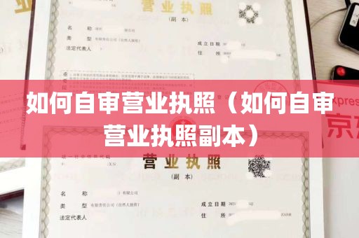 如何自审营业执照（如何自审营业执照副本）