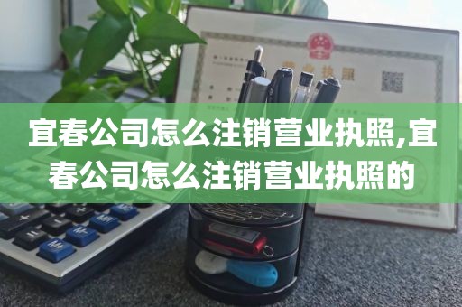 宜春公司怎么注销营业执照,宜春公司怎么注销营业执照的