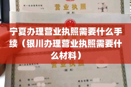 宁夏办理营业执照需要什么手续（银川办理营业执照需要什么材料）