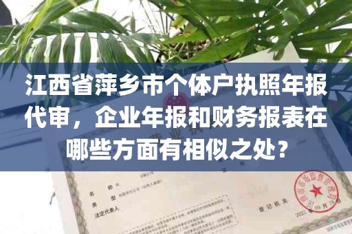 江西省萍乡市个体户执照年报代审，企业年报和财务报表在哪些方面有相似之处？