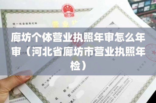 廊坊个体营业执照年审怎么年审（河北省廊坊市营业执照年检）