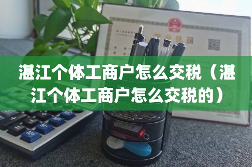 湛江个体工商户怎么交税（湛江个体工商户怎么交税的）