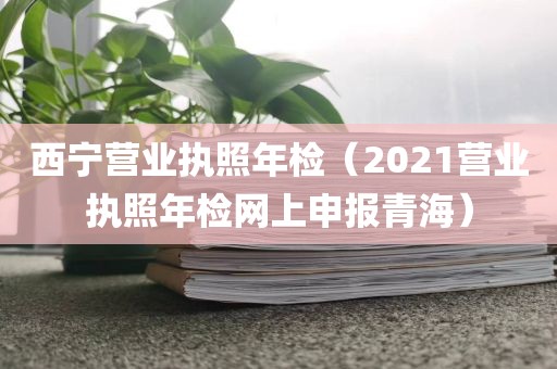 西宁营业执照年检（2021营业执照年检网上申报青海）