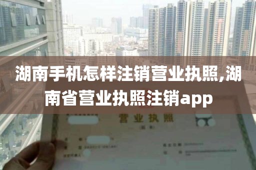 湖南手机怎样注销营业执照,湖南省营业执照注销app