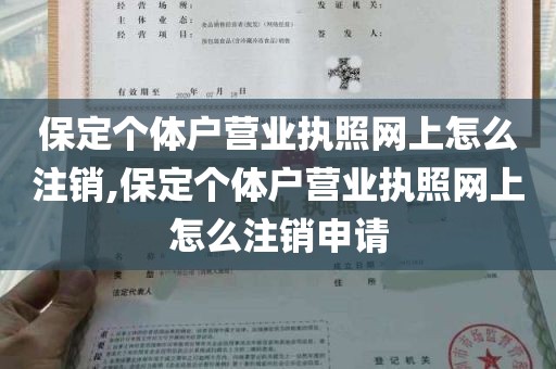 保定个体户营业执照网上怎么注销,保定个体户营业执照网上怎么注销申请