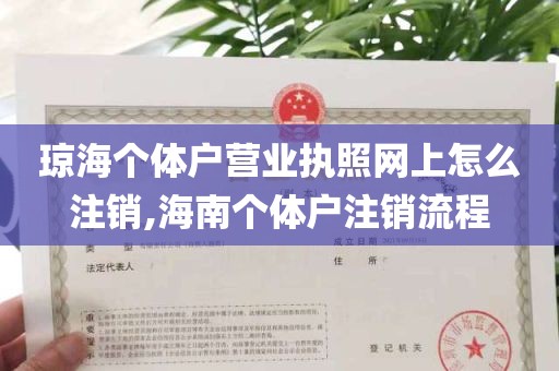 琼海个体户营业执照网上怎么注销,海南个体户注销流程