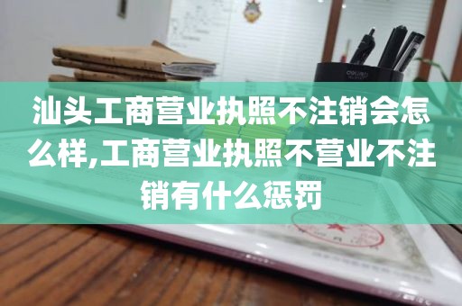 汕头工商营业执照不注销会怎么样,工商营业执照不营业不注销有什么惩罚